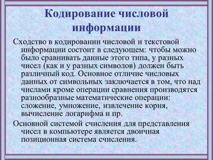 Программа это числовая и текстовая информация