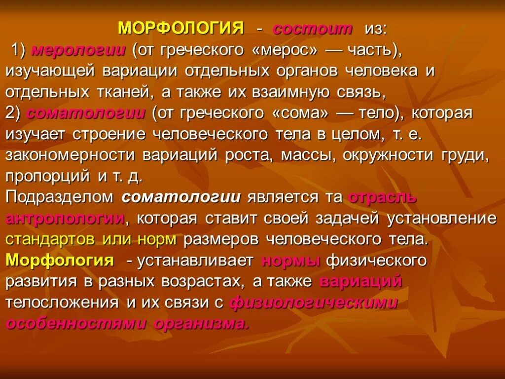 Морфология тела человека. Морфологических показателей организма. Современные рудиментарные формы архаической памяти обычая. Генетические показатели индивидуального здоровья. Характеристика пропорций тела.