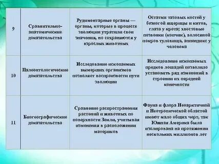 Факторы изменчивости эволюции