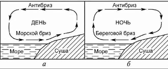 Схема образования бриза и Муссона. Схема образования бриза и Муссона география 6. Схема образования бризов и муссонов 6 класс. Схема образования дневного бриза. Рисунок муссона