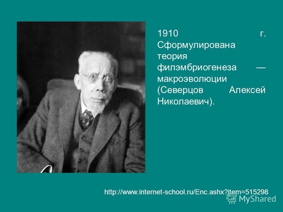 Какую теорию сформулировали. Какую теорию сформулировали