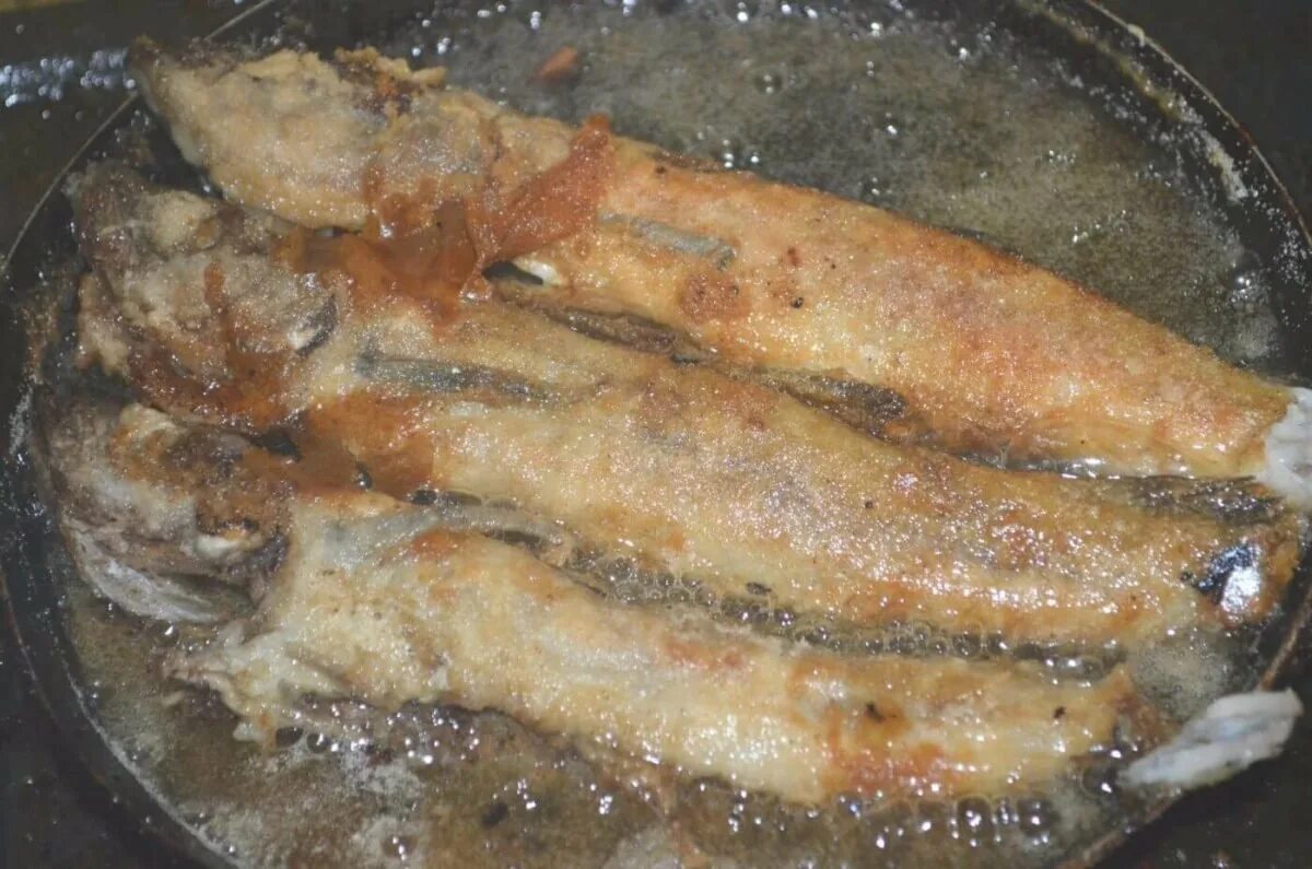 Как вкусно пожарить минтай на сковороде. Минтай жареный тушка. минтай на сковороде. минтай жареный на сковороде. минтай жареный на сковороде с луком.