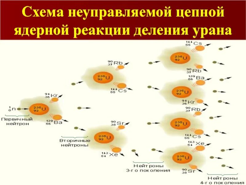 Схема цепной реакции деления ядер урана. Схема развития цепной ядерной реакции. Схема протекания цепной ядерной реакции. Схема развития цепной реакции деления ядер урана. Цепная реакция схема