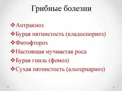Грибное заболевание