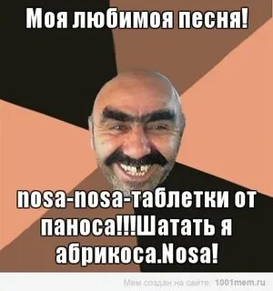 Песня под нос