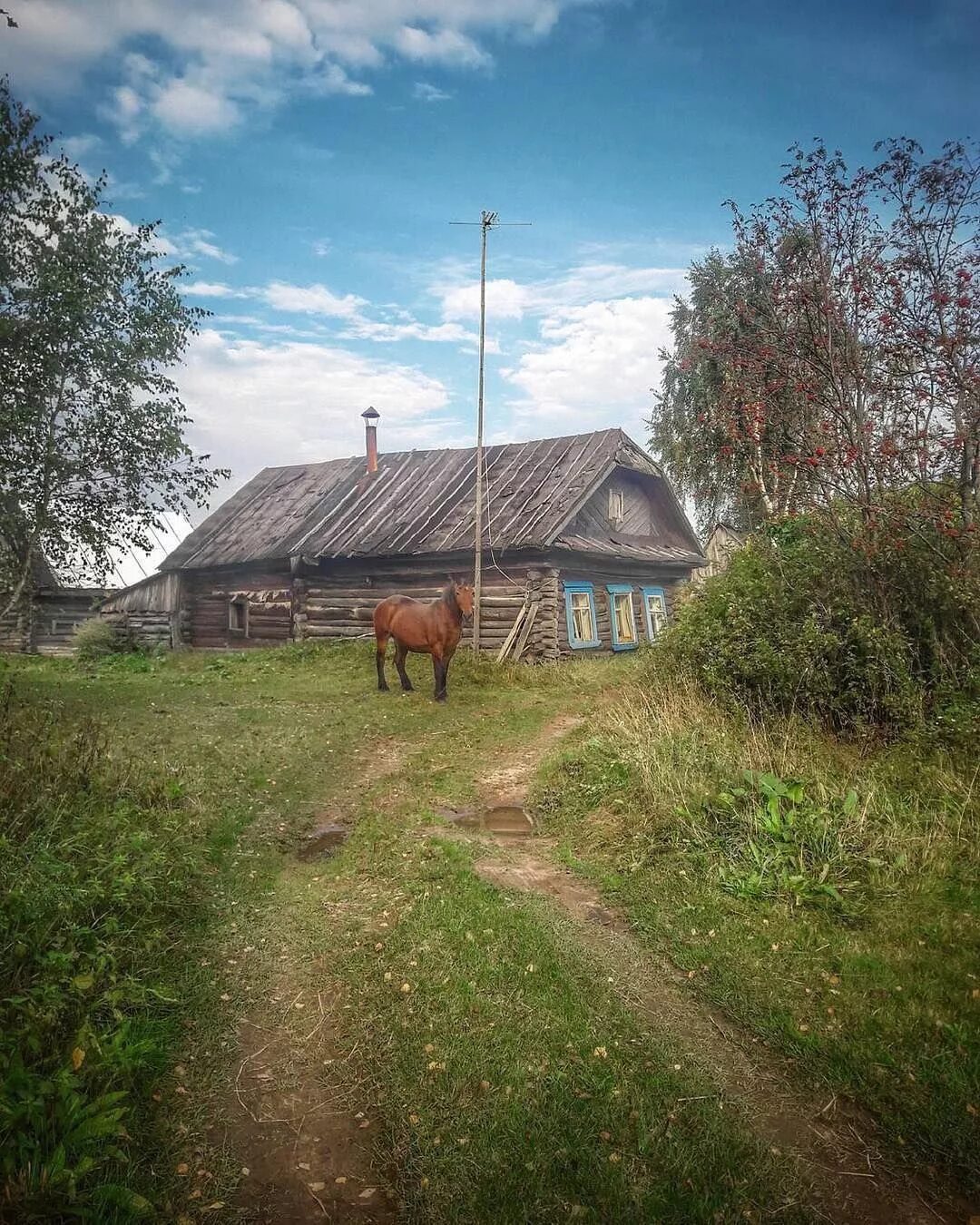 Charming Countryside House with Thatched Roof