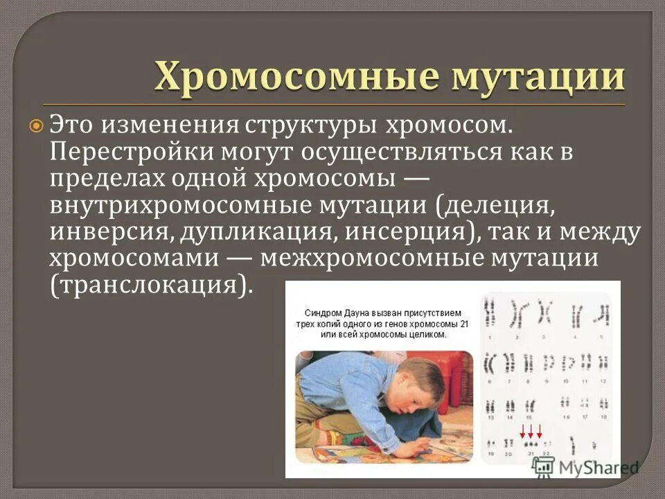 Пример делеции в хромосомной мутации. Хромосомные мутации. хромосомные мутации примеры. мутационная изменчивость хромосомные мутации. мутационная изменчивость хромосомная.