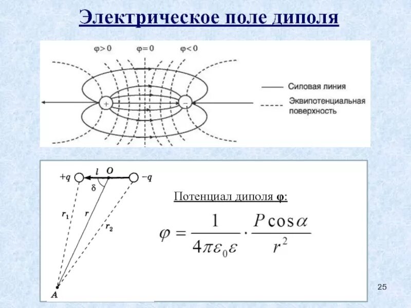 Работа в неоднородном поле. Поле диполя силовые линии эквипотенциальные поверхности. силовые и эквипотенциальные линии электрического диполя. силовые линии диполя. силовые линии поля диполя.