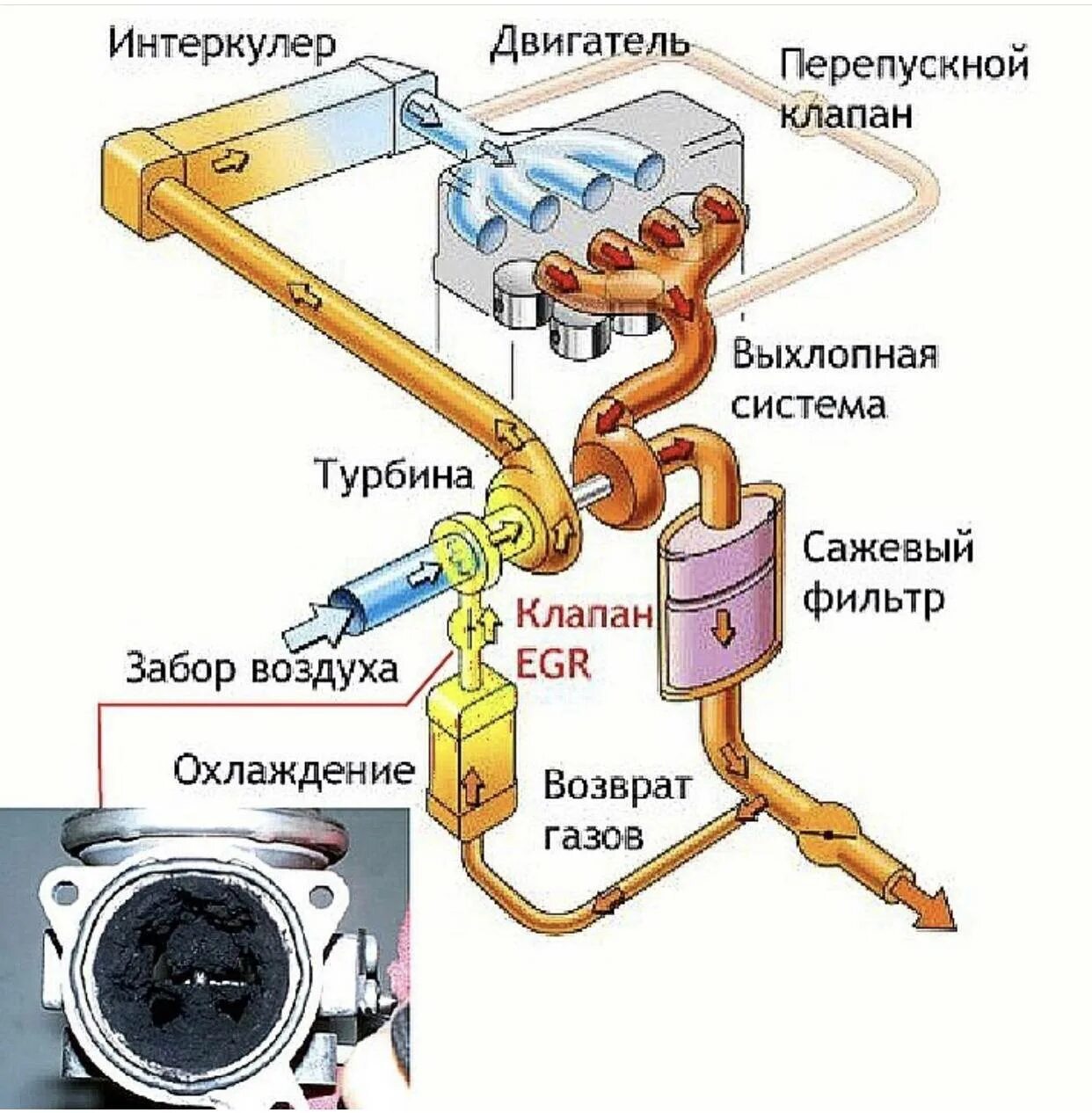 ЕГР клапан на бензиновом двигателе. Система рециркуляции отработавших газов (система EGR. Клапан управления вакуумом ЕГР. Как работает ЕГР на дизеле.