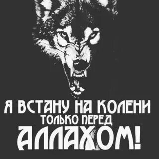 Умри достойно