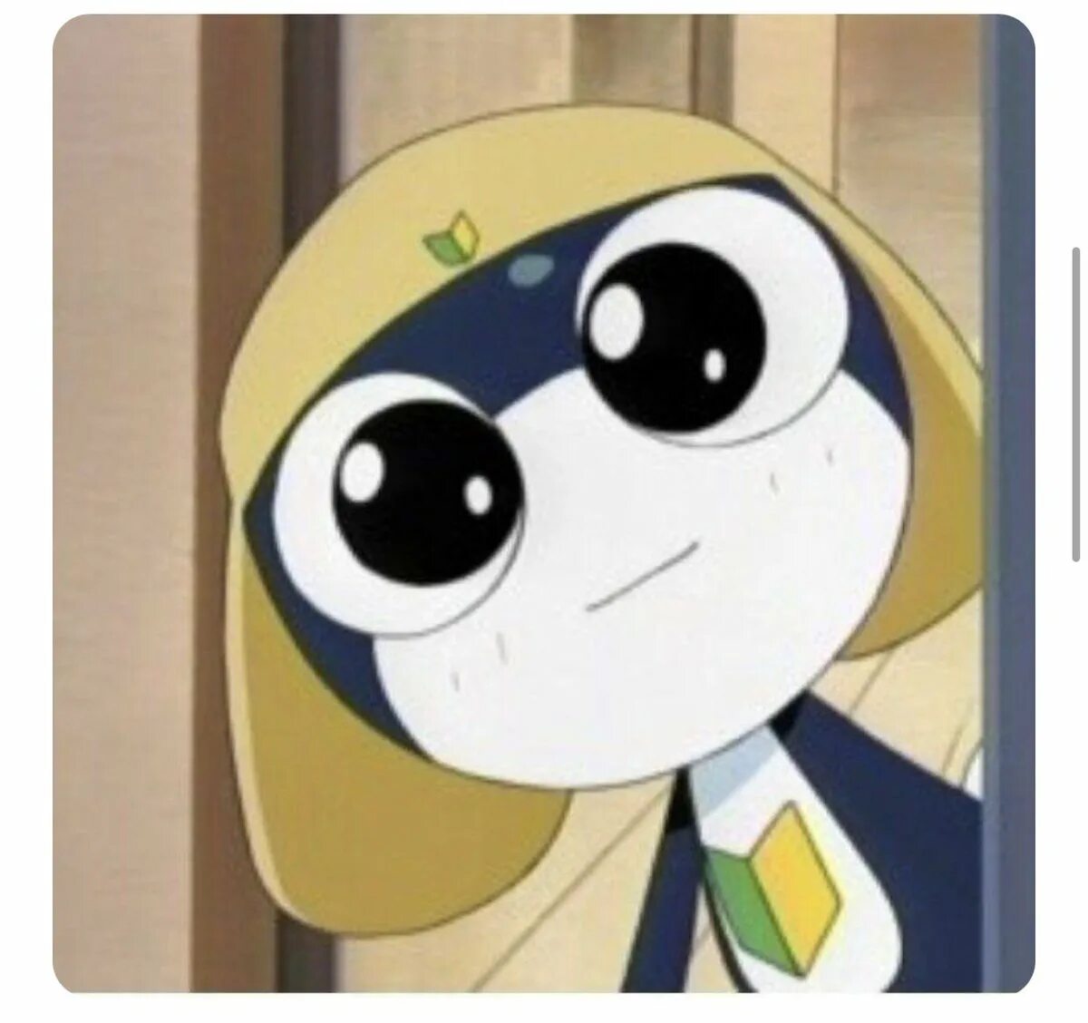 Wiki wondering. Keroro x Tamama. Keroro 2023.