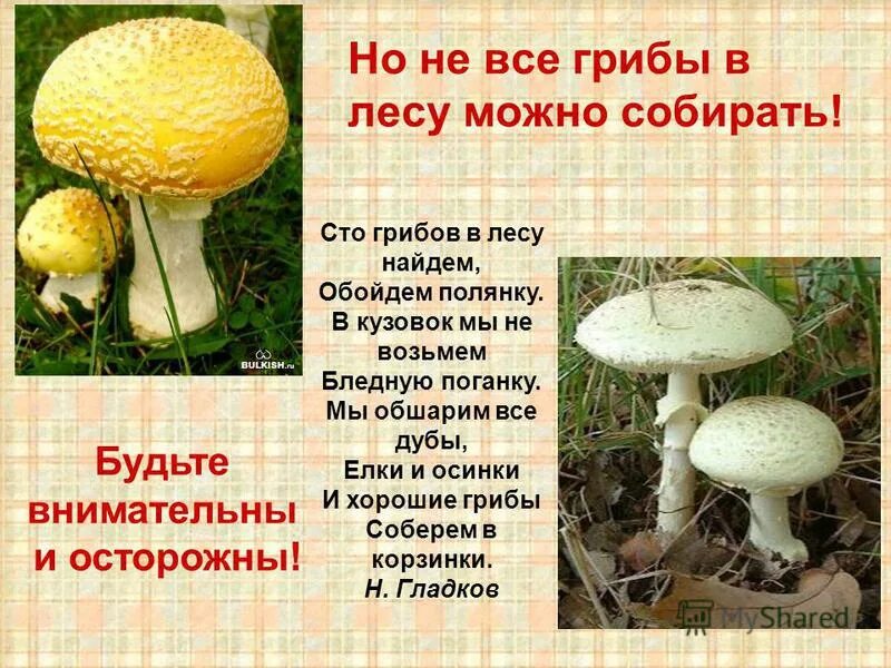 Несъедобные ядовитые несъедобные грибы. Не ядовитые грибы. Ядовитый гриб двойник подосиновика. Грибы съедобные и несъедобные с названиями. Ядовитые грибы для детей.