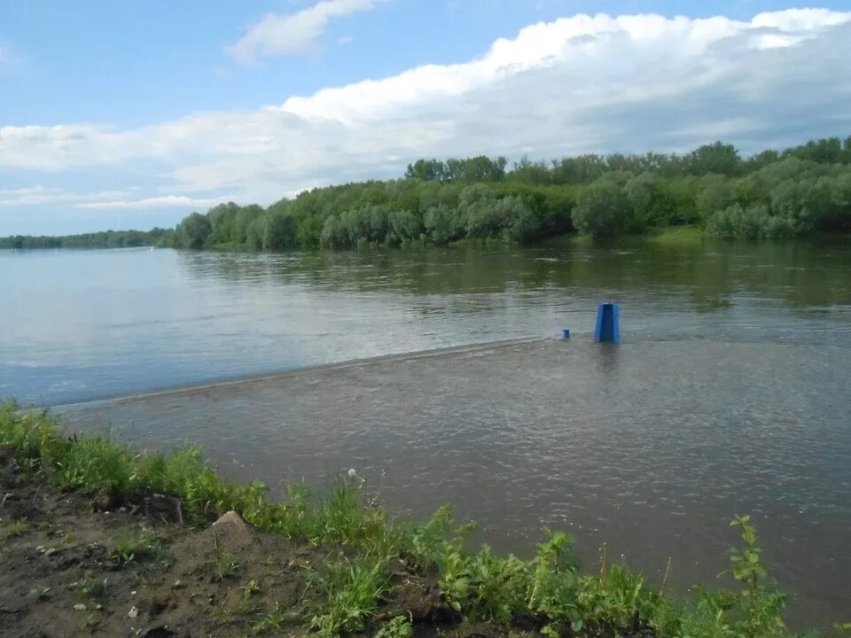 Вода на оке сегодня сколько поднялась. Уровень Оки в Рязани. Уровень воды в Оке. Уровень воды в Оке Рязань. Лесопарк Рязань Ока.