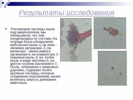 В результате которых было обнаружено