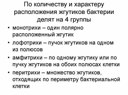 Жгутики бактерий значение
