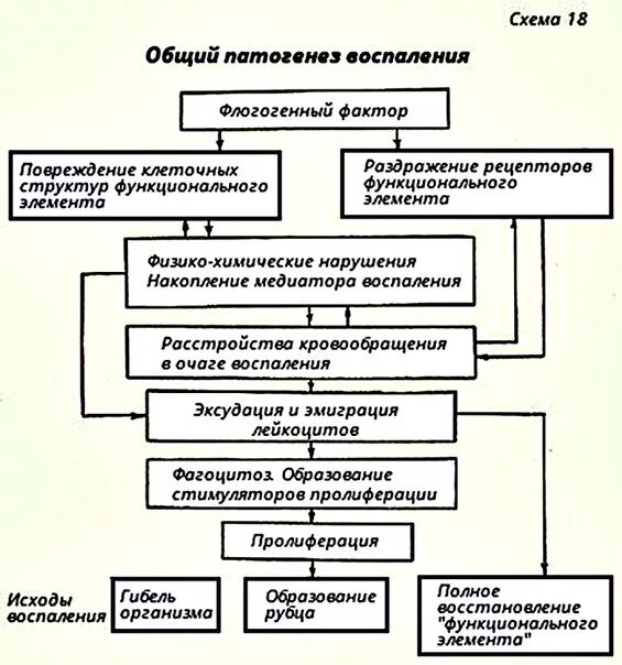 патогенез механизм развития пневмонии. механизм развития воспаления патофизиология. этиология и патогенез воспаления. асептическое воспаление патогенез. патогенез воспаления схема.