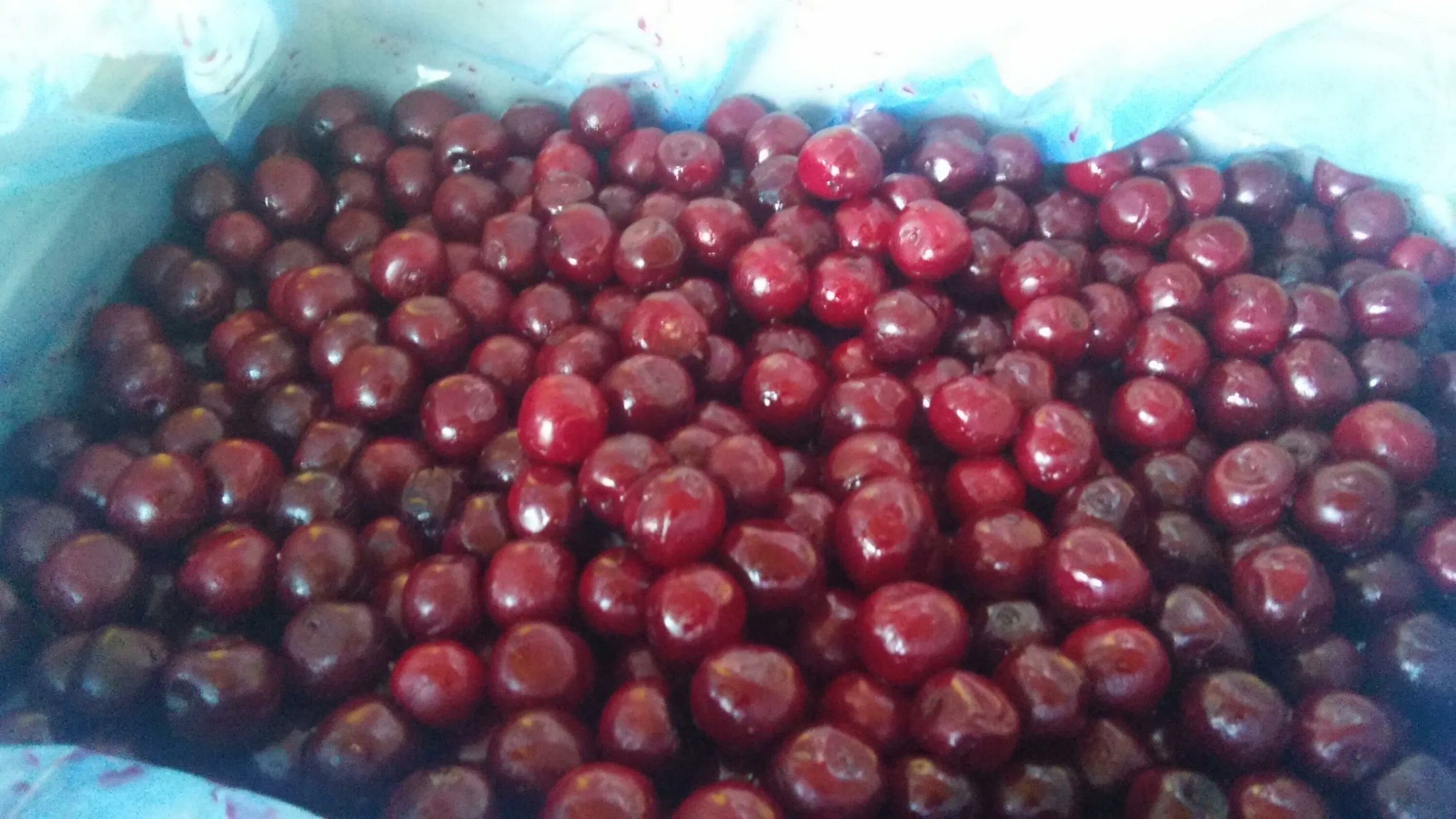 Вишня без косточки 10кг македония. 4 сезона ягоды упаковка. Вишня замороженная без косточки. 10 кг вишни. Вишня без косточек 1кг.