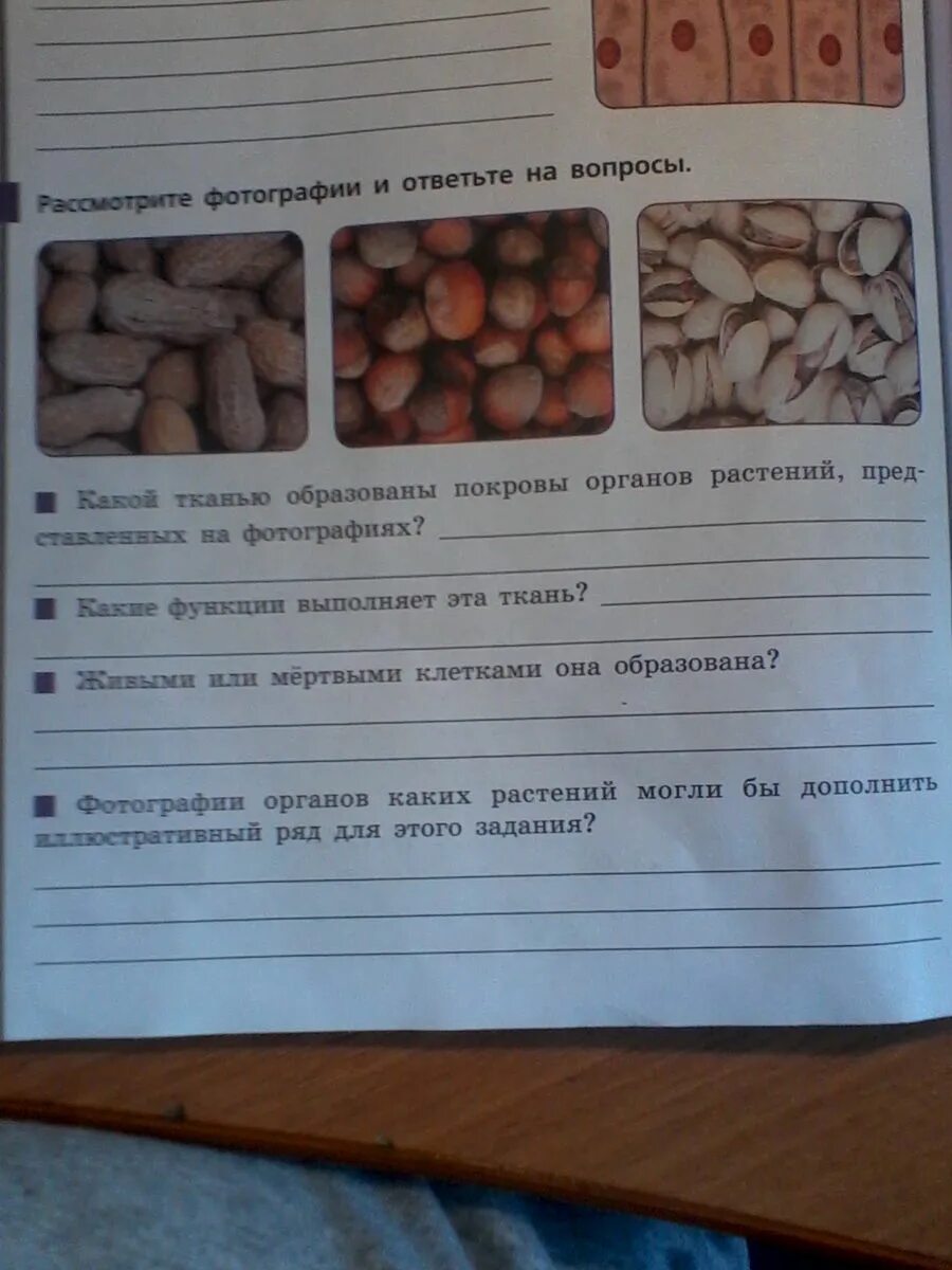 Рассмотрите изображение и ответьте. Рассмотрите изображение и ответьте на вопрос. Рассмотри фотографию и ответьте на вопросы. Рассмотрите фотографии и ответьте. Рассмотрите картинки рассмотрите изображение и ответьте на вопросы.