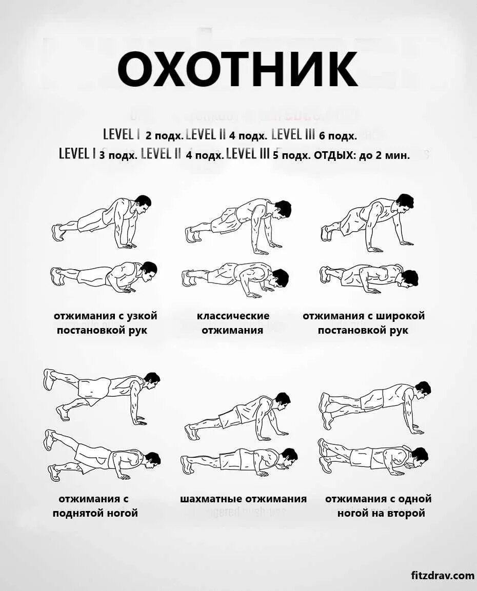 Отжимания утром сколько. Схема отжиманий от пола. Комплекс упражнений отжимания. Схема отжимания от пола схема. Отжимания схема тренировок.