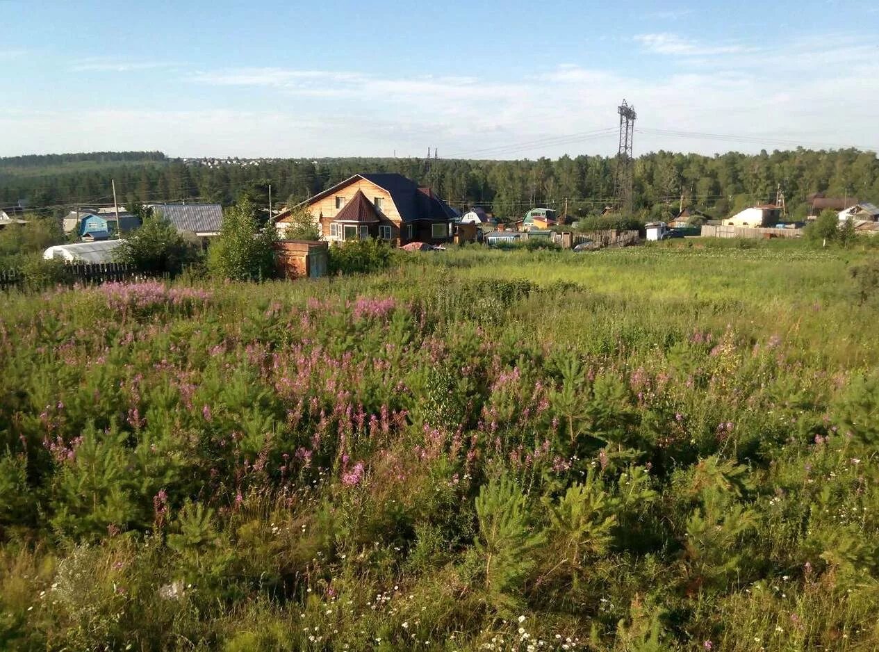 Купить участок иркутск снт. СНТ иркутянин. Участок Иркутск. Земля Россия. Садоводства Ангарск.