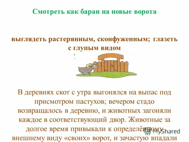 смотреть как баран на новые ворота. как баран на новые ворота фразеологизм. баран на новые ворота. как баран на новые ворота значение фразеологизма. как баран на новые ворота фразеологизм.