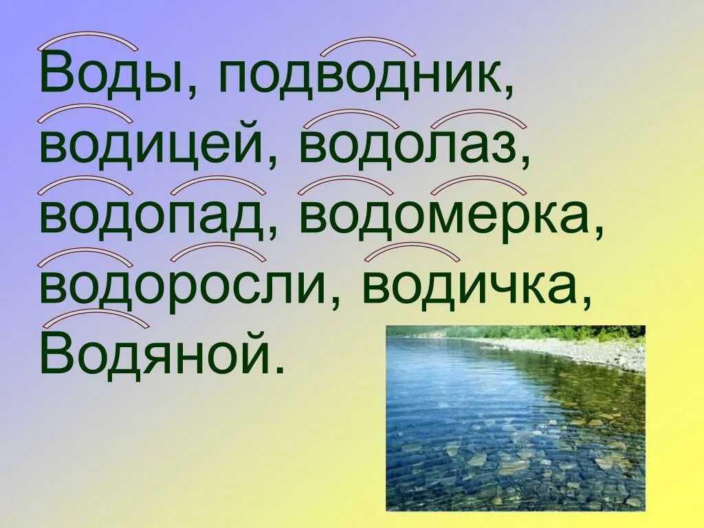 Водянистый однокоренные слова. Вода вода Водица. Вода однокоренные. Водоросли однокоренные слова. Однокоренные слова вода подводник водичка водяной.