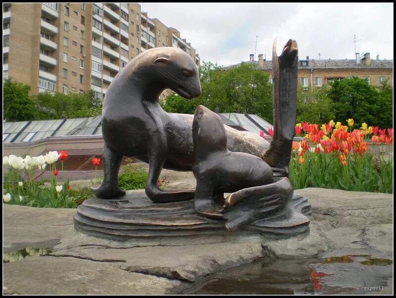 Памятник в зоопарке в Москве. Статуя в Московском зоопарке. Скульптура моржа в Московском зоопарке. Московский зоопарк скульптуры животных.