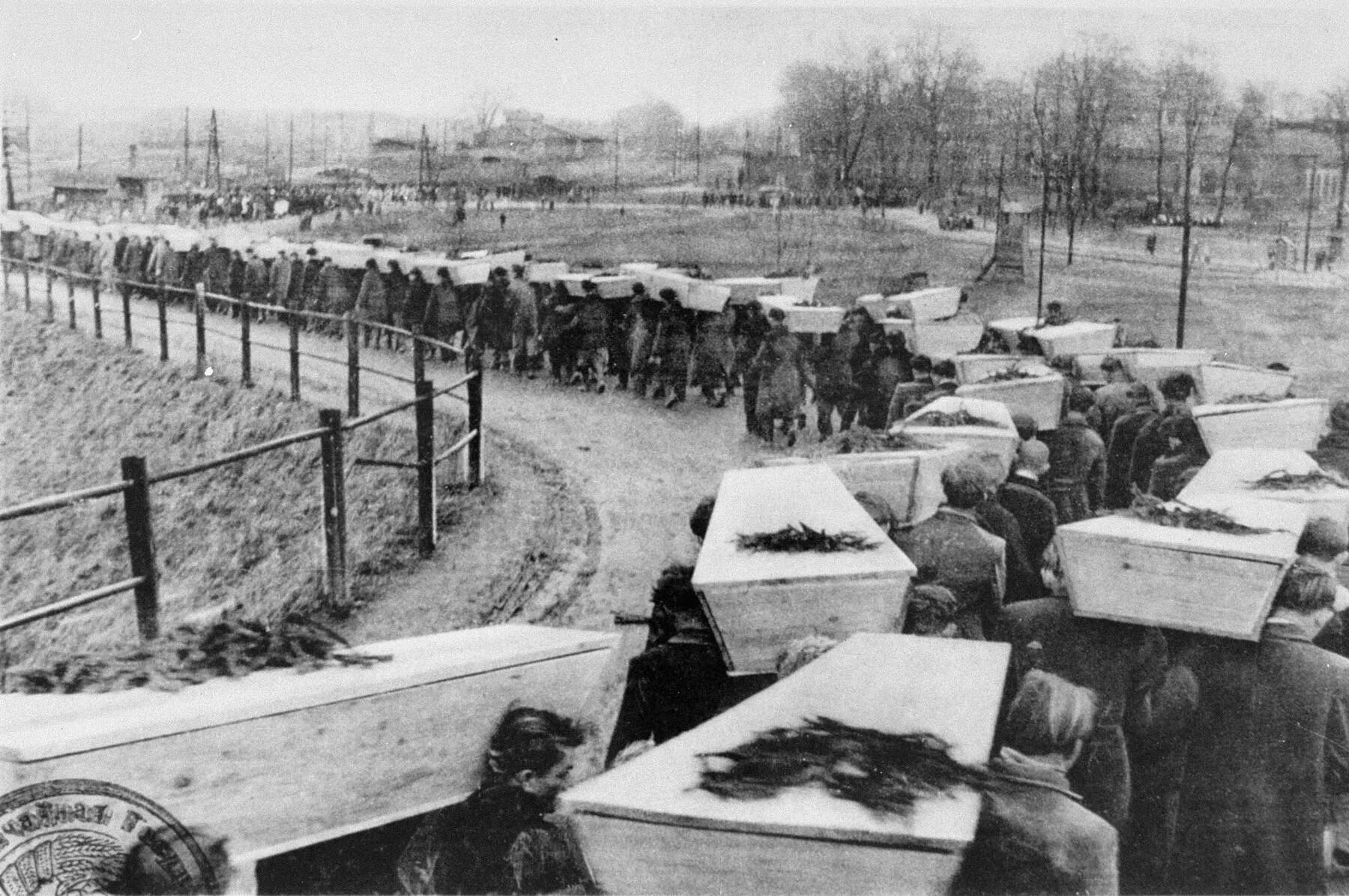 Аушвиц биркенау освобождение. 27 января 1945 освобождение концлагеря освенцим. Биркенау освобождение. Освобождение лагеря аушвиц. Освобождение узников концлагеря освенцим.