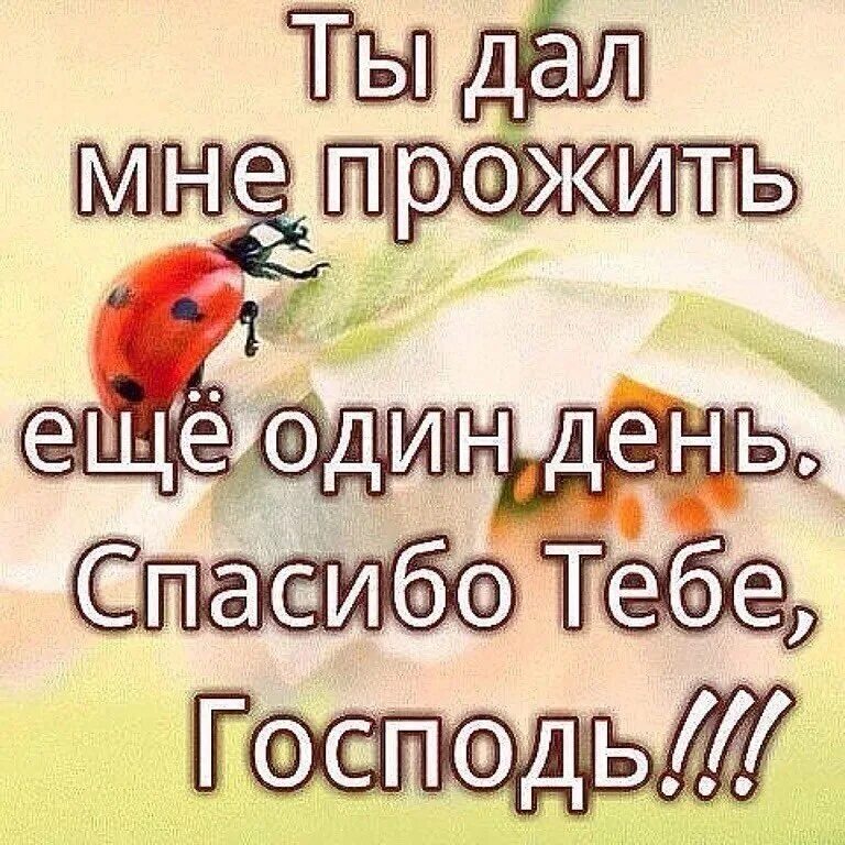 спасибо ягосподи за всё. благодарность гг осподу. спасибо господь что я такой офигенный. благодарю тебя господи. спасибо господь что я такой офигенный.