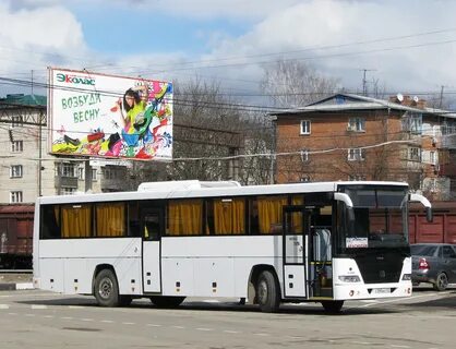 Белореченск краснодар автобус