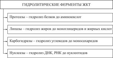 Гидролитические ферменты