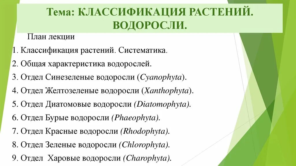 Систематическая классификация водорослей. Систематика растений водоросли классификация. Систематика водорослей и характеристика. Зеленые водоросли систематическое положение.