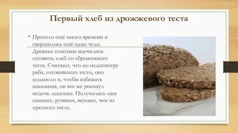 Тесто первый хлеб