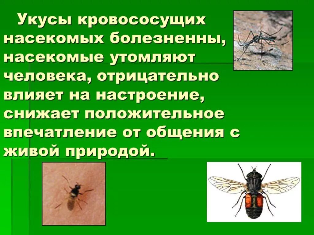 Укусы насекомых и защита от них обж. Укусы насекомых и защита от них. Укусы ядовитых насекомых. Защита от жалящих и кровососущих насекомых.