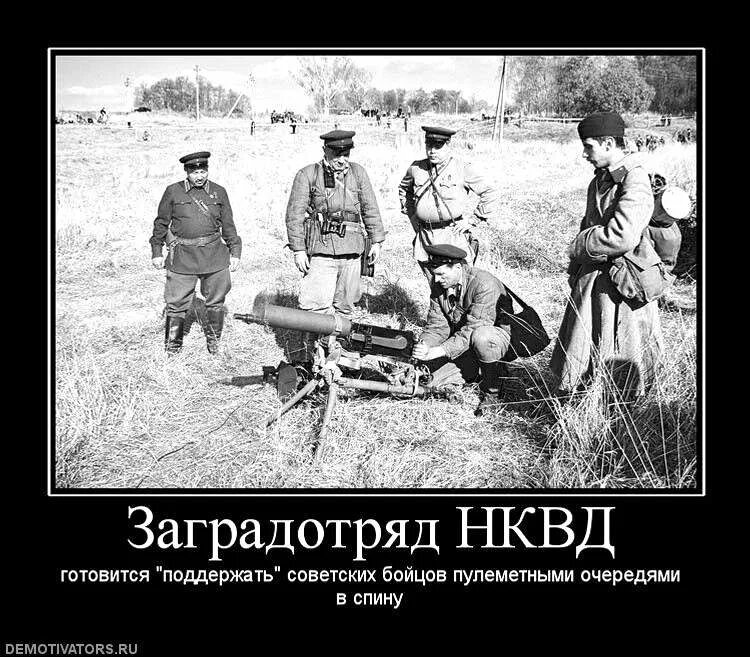 Тимур бекмансуров убийца. Фото с дрона украина тела. Расстреляли отступающих. Расстреляли отступающих. Британский наемник пол ури.