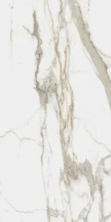 Calacatta imperial