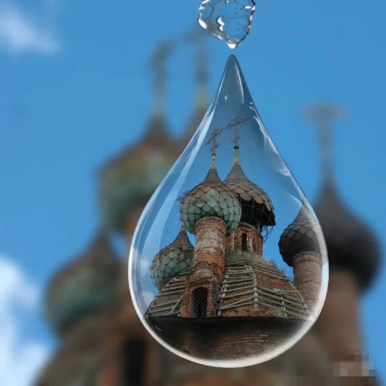Белый ирис благотворительный. Белый ирис фонд. белый ирис благотворительный фонд.