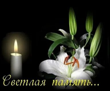 Светлая память дочери