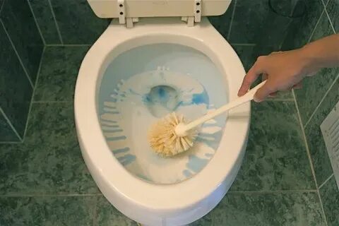 Куда смывается туалет