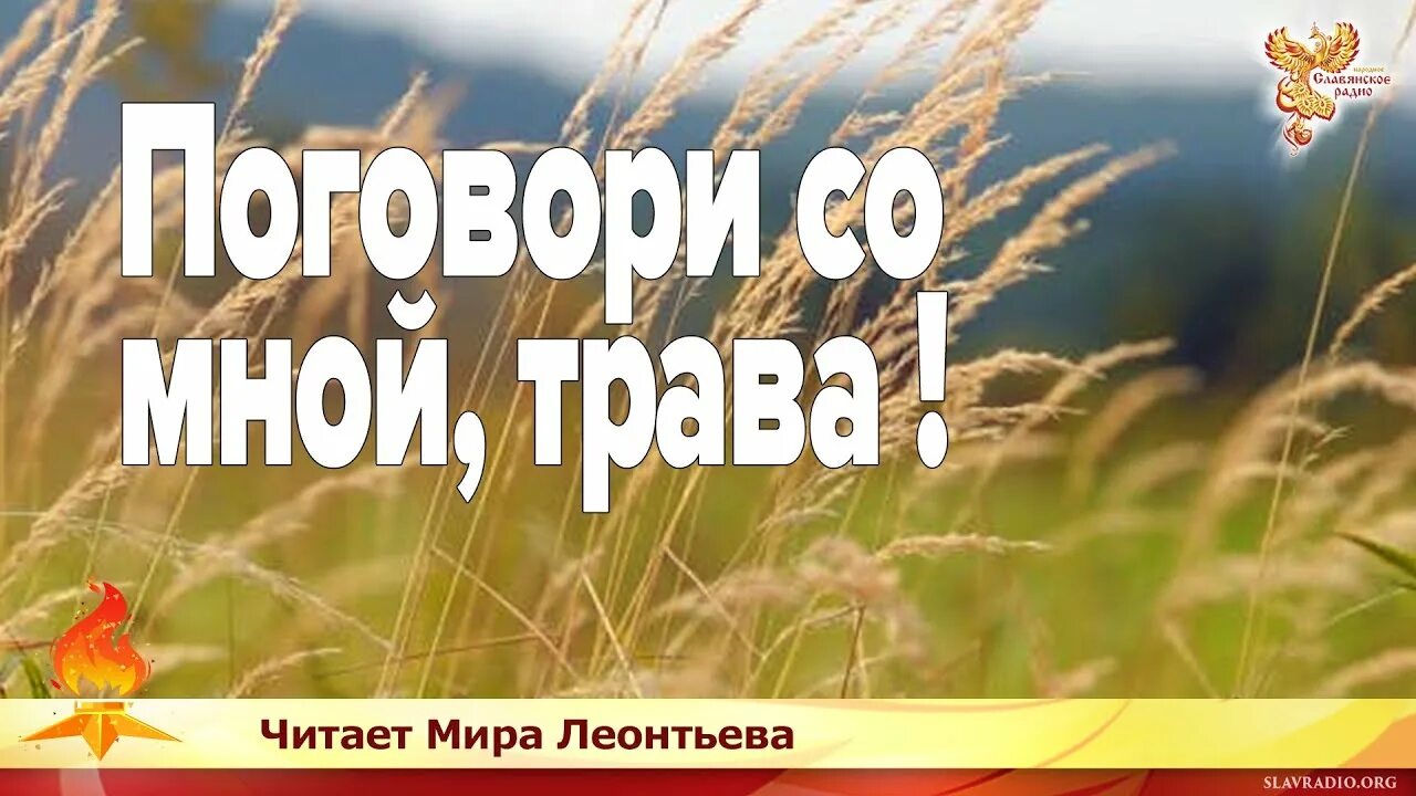 Поговори со мной трава. Поговори со мной трава Инок Киприан. Поговори со мной трава песня. Киприан трава песня поговори