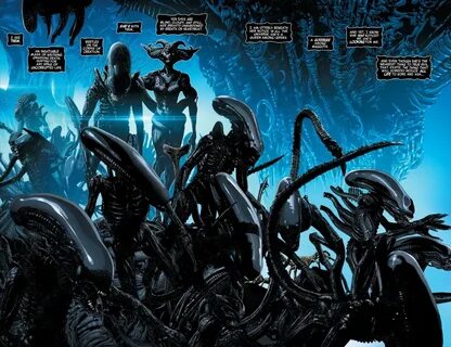 Aliens #1 Storytime.