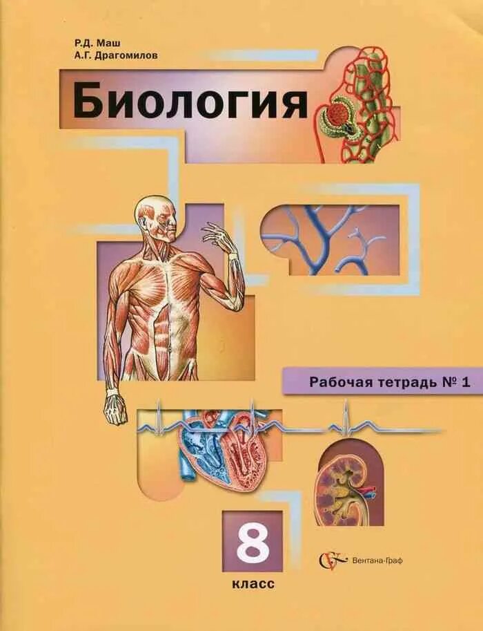 Биология 8 класс драгомилов а.г. Маш р., драгомилов а. "биология. 8 Класс. Рабочая тетрадь №1". Драгомилов 8 класс . Биология. Человек. Рабочая тетрадь № 1. Биология 8 класс рабочая тетрадь романов