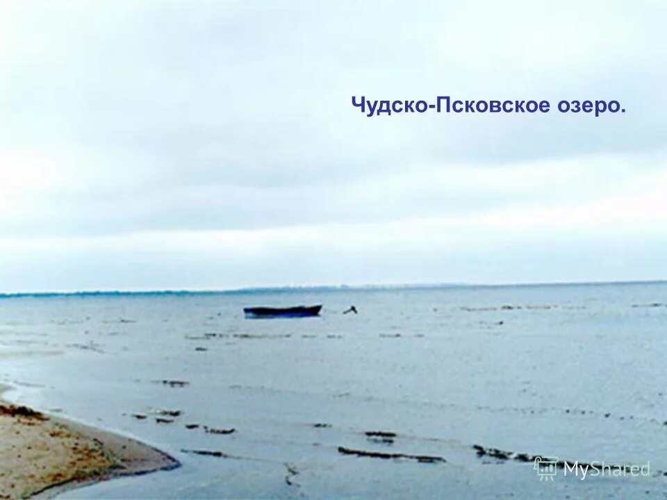 найдите предложения чудско псковское озеро будучи. найдите предложения чудско псковское озеро будучи. чудское озеро псковская область. найдите предложения чудско псковское озеро будучи. чудско-псковское озеро описание.