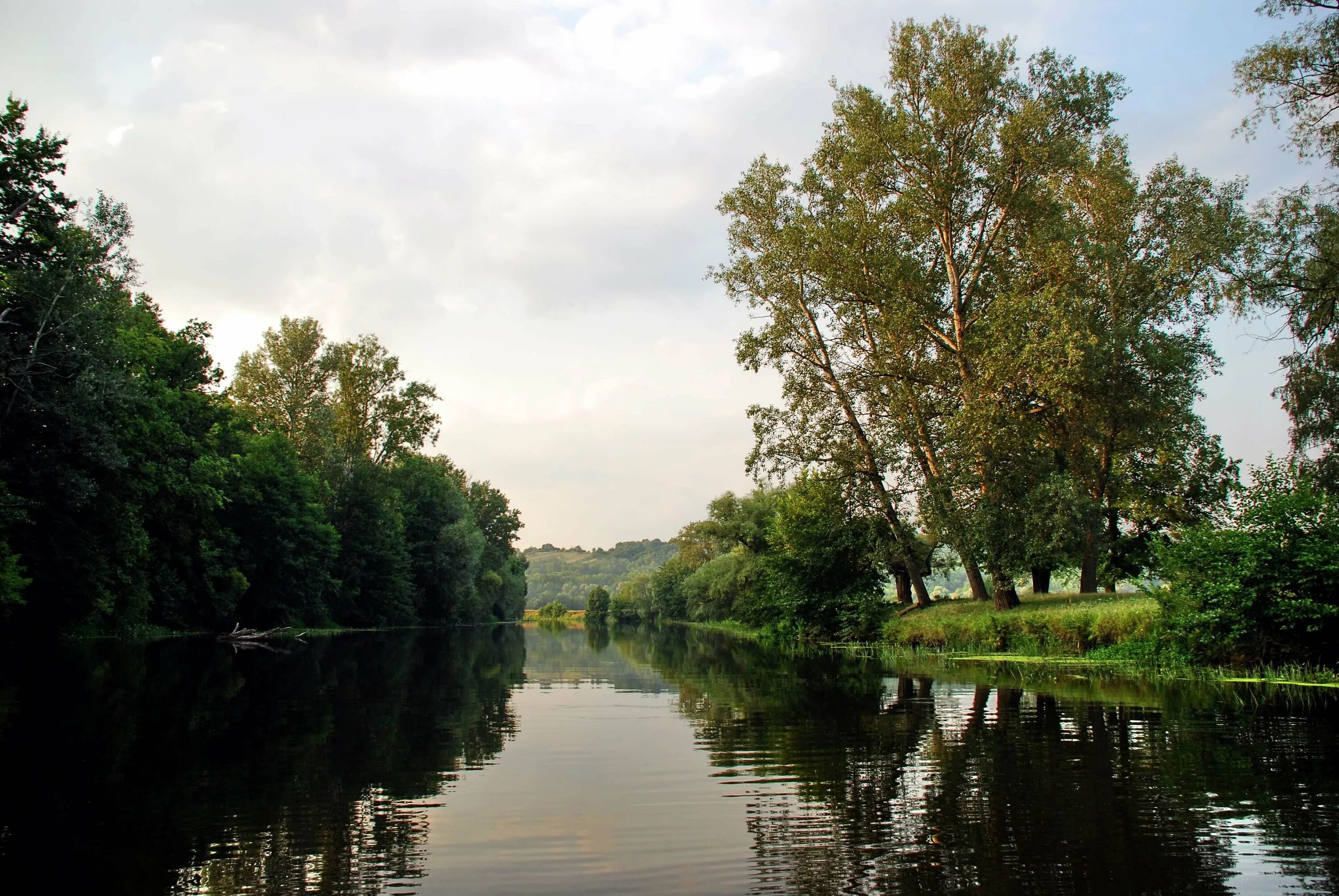 Река псёл в Белгородской области. Речка псёл Курская область. Река псёл в Гадяче. Река псёл Сумы.