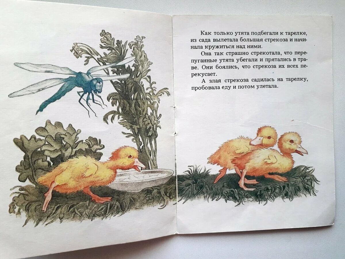 Житков б. Б с житков храбрый утенок. Житков храбрый утенок. Житков б. Житков храбрый утенок.