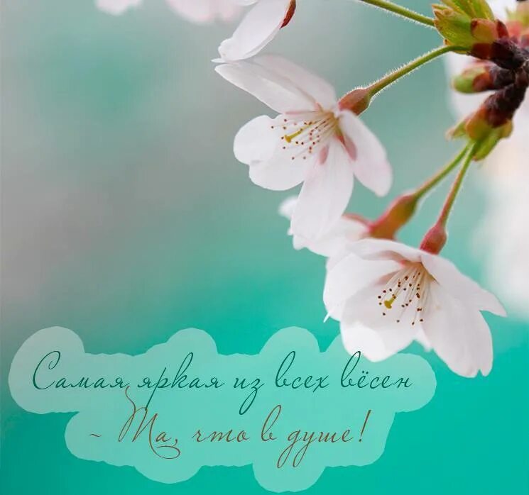 в душе март