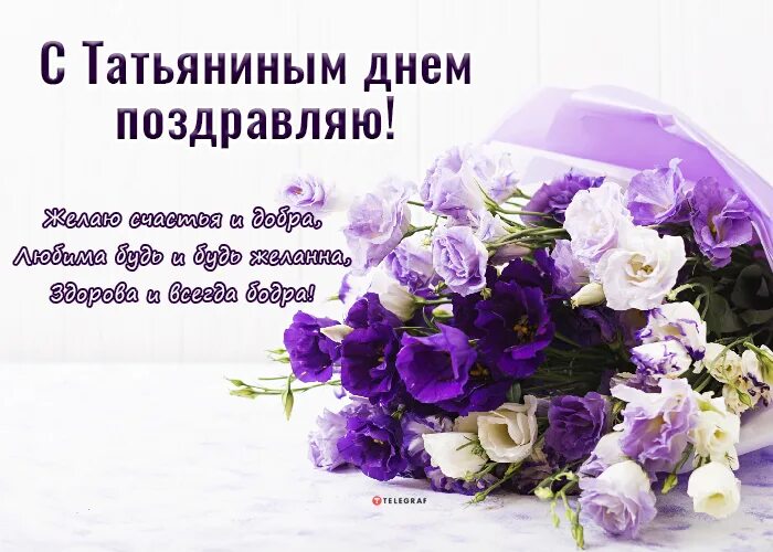 Татьянин день 2023. Поздравления с татьяниным днем 2022. Татьянин день поздравление. Татьянин день 2023. Татьянин день 2023.