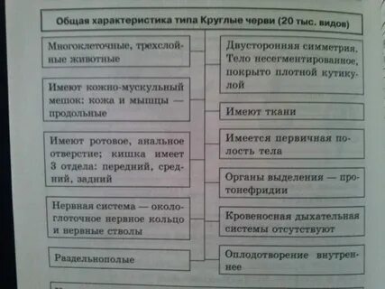 Характеристика червей плоские круглые кольчатые