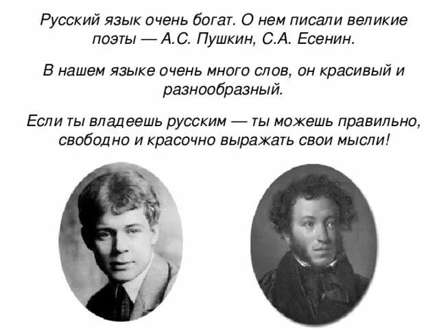 Есенин про пушкина. Есенин о русском языке. Есенин о русском языке высказывания. Высказывания поэтов. Высказывания Пушкина о русском языке.