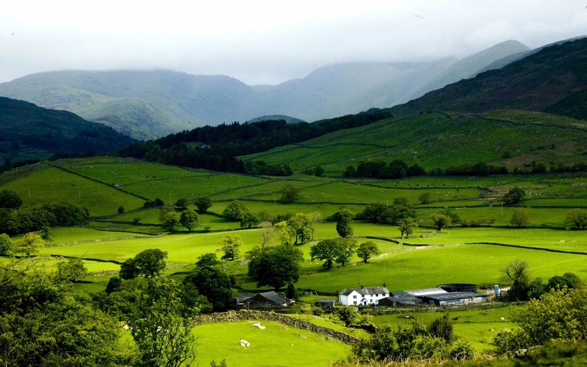 Green Hills зеленые холмы Ирландии. Сербия холмы. Паданская Долина. Долина Вансянь. Beautiful hill